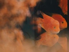 -成都银泰城