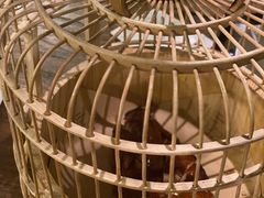 胡桃里烤鸡-胡桃里音乐酒馆(东区店)