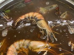 -甲鱼火锅(北村小区店)