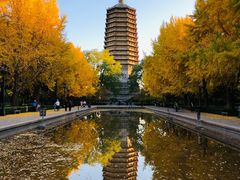 -玲珑塔公园