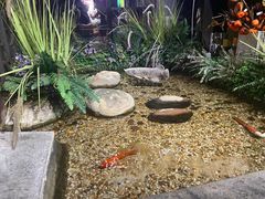 -范设计花园餐酒咖·中西餐·咖啡厅·酒馆