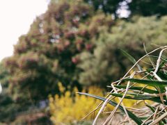 -侵华日军南京大屠杀遇难同胞纪念馆