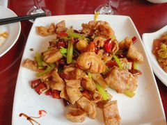 辣烧大肠-鸢飞潍坊菜馆(鸢飞大酒店)