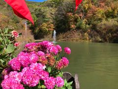 -天女山森林公园