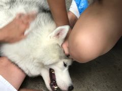 -TrueLove @ Neverland (Husky Cafe)