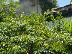 -院子餐厅·大锅菜·老杭帮(桥西直街店)
