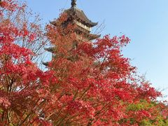 -常熟方塔园