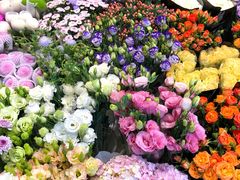 -双季花艺园艺市场(浦东店)