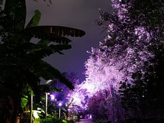 -窑埠古镇