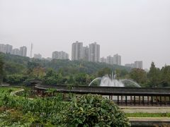 -龙头寺公园