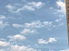 -木塔寺遗址生态公园