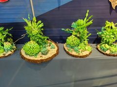 -松哥油焖大虾·外卖(西乡店)