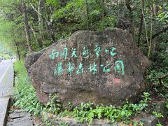 -姑婆山旅游区