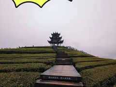 -恩施大峡谷