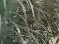 -移动谜城·大笨象密室逃脱(五棵松店)