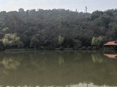 -采石矶景区