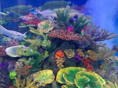 -成都浩海立方海洋公园