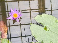 -国家植物园