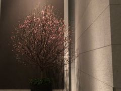 -上海柏悦酒店
