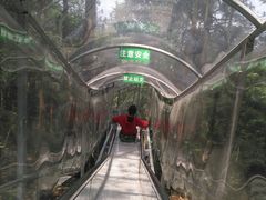 -浏阳石牛寨风景区