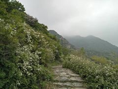 -阳台山自然风景区