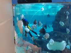 -鸿通城购物中心