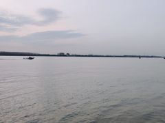 -滨江生态公园