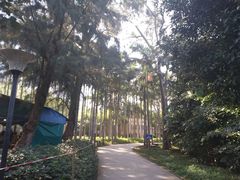 -北海市海滨公园