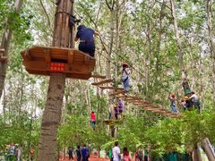 -朝阳公园游乐园