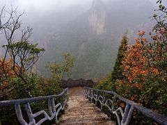 -龙湾潭国家森林公园