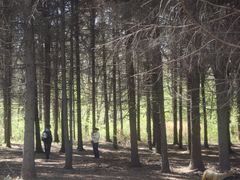 -黑龙江省森林植物园