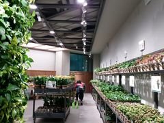 -鹿岛会员店 (龙湖三千集天街店)
