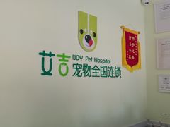 -艾吉宠物医院·疑难杂症转诊中心·猫友好(碧江路院)