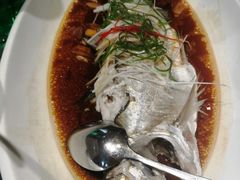 清蒸桂鱼-最高台(亳州路店)