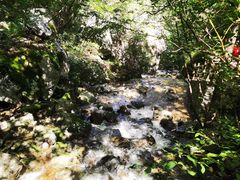 -青峰峡国家森林公园