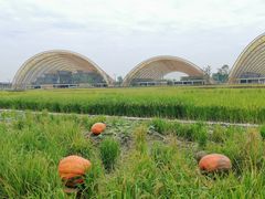 -中国天府农业博览园