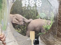 -西双版纳原始森林公园