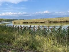 -野鸭湖国家湿地公园