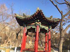 -文瀛公园