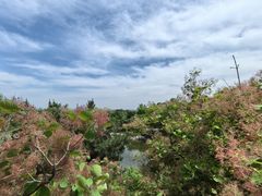 -北京西山国家森林公园