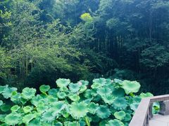 -成都杜甫草堂博物馆