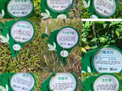 -昆山城市生态森林公园