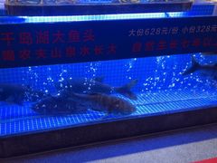 -鸽子侯·家宴·平价海鲜(绿地店)