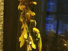 -锦潼西餐厅