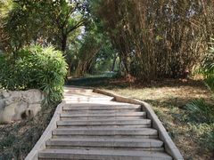 -南宁南湖公园