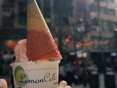 -柠檬车露(卖草地店)