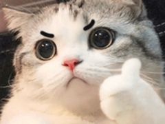 -山西路百货大楼