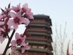 -西安汉城湖景区