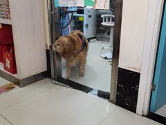 -美联众合爱康动物医院•复杂内科•肿瘤科•牙科•腔镜诊疗中心