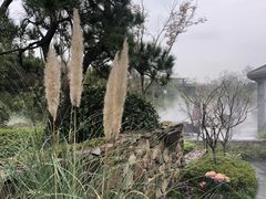 -天目湖涵田半山温泉